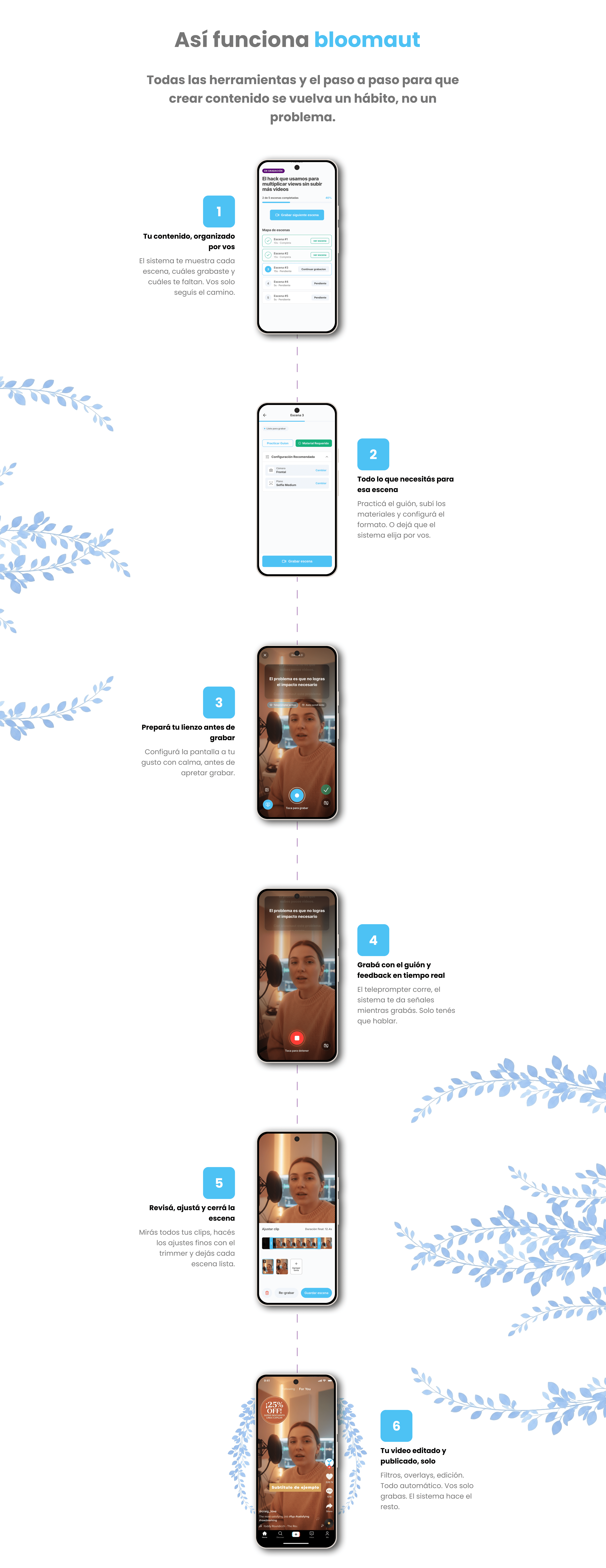 Bloomaut Working Process